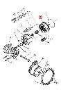 419390100.webp