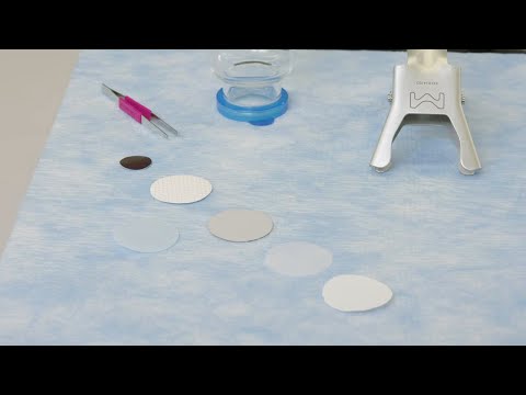 Filtro de malla de nylon, hidrófilo Marca Merck Modelo MPINY2004700 100/PQ