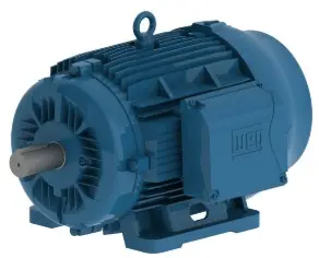 WEG, Three Phase Induction Motor, 03036ET3Y200L-W22