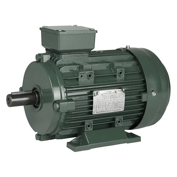 Motor World Wide Electric IEC4-18-100