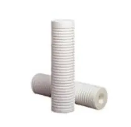 RT30L16G20NN POLYKLEAN 30" 50UM DOE