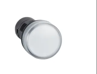 monolithic pilot light schneider XB2BVM1LC